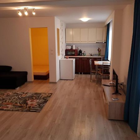 Apartament 1 Central Târgu-Mureş Екстериор снимка