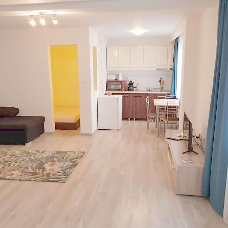 Apartament 1 Central Târgu-Mureş Екстериор снимка